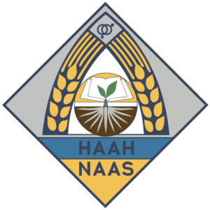 наан
